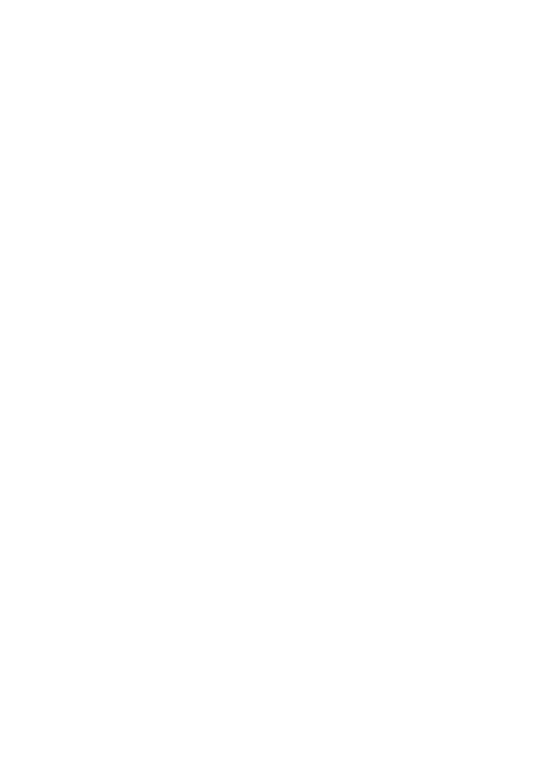 the penguin